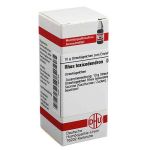 Rhus Tox. D 6 Globuli (10 g)