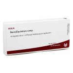 Renes/ Equisetum Comp. Ampullen (10X1 ml)