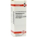 Rhododendron D 4 Dilution (20 ml)