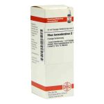 Rhus Tox. D 12 Dilution (20 ml)