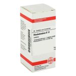 Rhododendron D 12 Tabletten (80 stk)