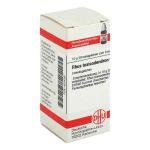 Rhus Tox. C 1000 Globuli (10 g)