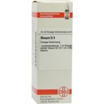 Rheum D 3 Dilution (20 ml)