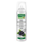 Rausch Dry Shampoo fresh Dosierspray (150 ml)