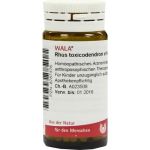 RHUS TOX E FOLIIS D 6, 20 G