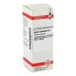 Aralia Racemosa D 4 Dilution (20 ml)
