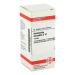 Aristolochia Clematitis D 12 Tabletten (80 stk)