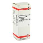 Aralia Racemosa D 4 Dilution (50 ml)