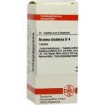 ARANEA DIADEMA D 4, 80 ST