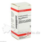 APIS MELLIFICA D12, 80 ST