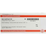 APIS MELLIFICA D 30 Ampullen, 10X1 ML