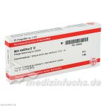 APIS MELLIFICA D12, 10X1 ML