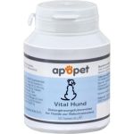 ApoPet Vital Hund, 100 ST