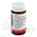 APIS REGINA COMP, 20 G