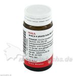 ARNICA E PLANTA TOTA D 6, 20 G