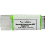 Apis C30, 2 G