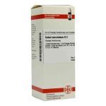 Sabal Serrul. D 2 Dilution (50 ml)