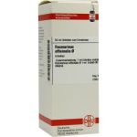 Rosmarinus Off. Urtinktur = D 1 (50 ml)