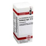 Sambucus Nigra D 12 Globuli (10 g)