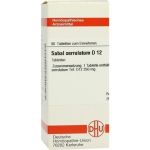 SABAL SERRUL D12, 80 ST