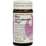 Rhus toxicodendron Phcp, 20 G