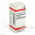 SABAL SERRUL D 3, 10 G