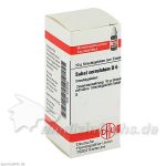 SABAL SERRUL D 6, 10 G