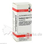 SAMBUCUS NIGRA C12, 10 G