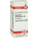 SACCHARUM OFF.C30, 10 G