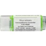 Rhus toxicodendron C30, 2 G