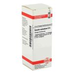 Secale Cornutum D 6 Dilution (20 ml)