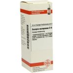 Scorpio Europaeus D 6 Dilution (20 ml)
