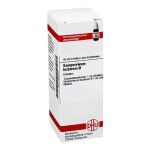 Sempervivum Tect. Urtinktur Dilution (20 ml)