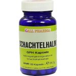 SCHACHTELHALM-KAPSELN, 60 ST