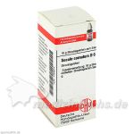 SECALE CORNUT D 6, 10 G