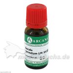 SECALE CORNUTUM ARCA LM 18, 10 ML