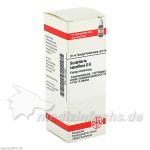 SCUTELLARIA LAT D 6, 20 ML