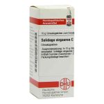Solidago Virgaurea C 200 Globuli (10 g)