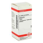 Silicea D 2 Tabletten (80 stk)