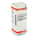 Solidago Virgaurea D 2 Dilution (20 ml)