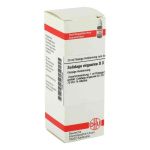 Solidago Virgaurea D 3 Dilution (20 ml)