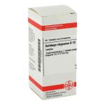 Solidago Virgaurea D 12 Tabletten (80 stk)