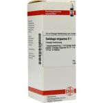 Solidago Virgaurea D 1 Dilution (50 ml)