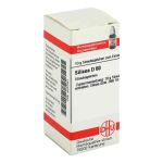 Silicea D 60 Globuli (10 g)