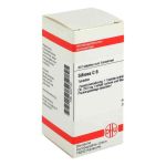 Silicea C 6 Tabletten (80 stk)