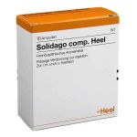 Solidago Comp.heel Ampullen (10 stk)