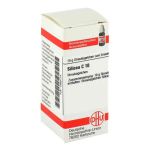 Silicea C 10 Globuli (10 g)