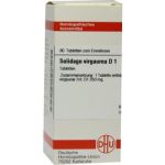 Solidago Virgaurea D 1 Tabletten (80 stk)