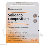 SOLIDAGO COMPOSITUM ad us.vet.Ampullen, 10 ST
