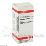 SOLIDAGO VIRGA D 4, 80 ST